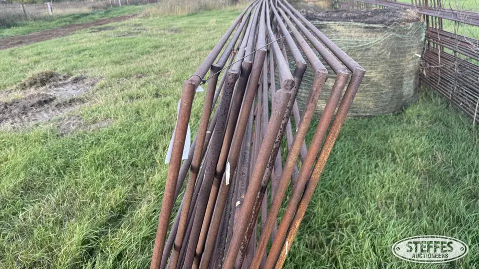 (10) Cattle panels Livestock Handling