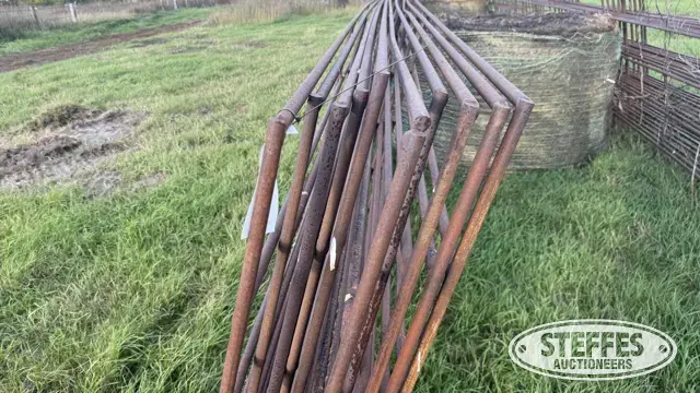 (10) Cattle panels