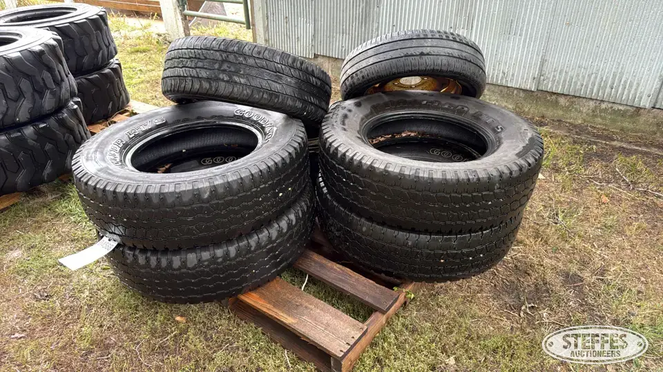 Various tires & belting Passenger-Light Truck Tire