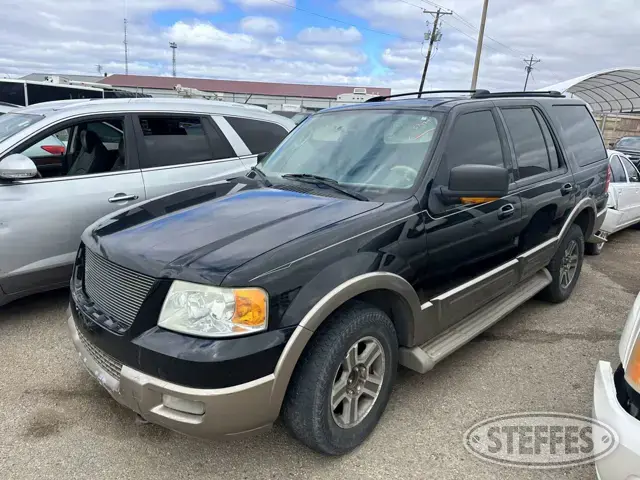2004 Ford Expedition Eddie Bauer
