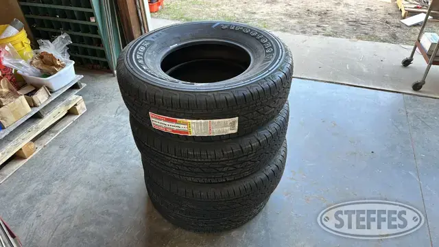 (4) Firestone Destination LE2