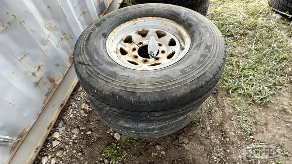 Michelin XPS Passenger-Light Truck Tire