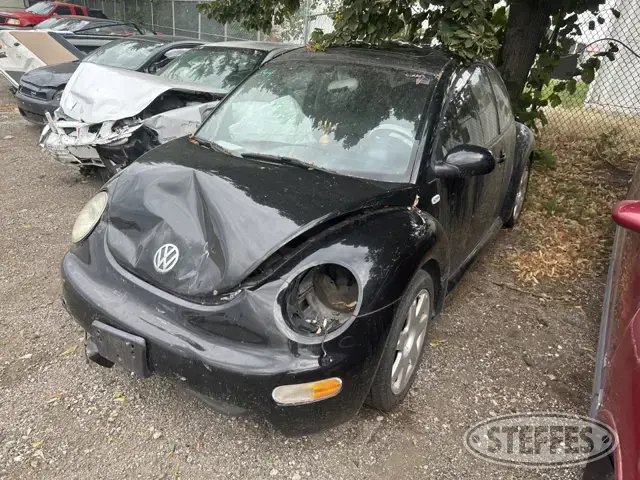2002 Volkswagen Beetle GLX