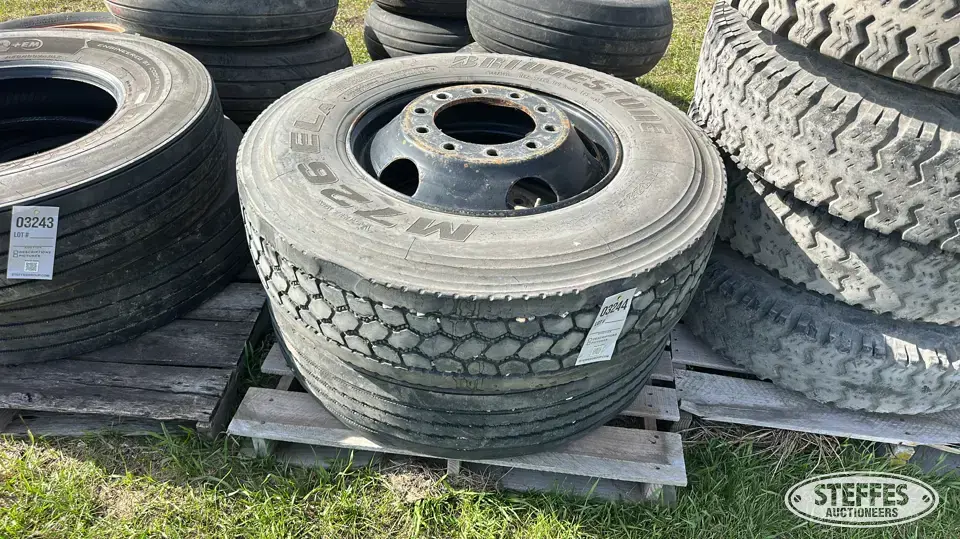 (2) 11R22.5 tires Truck Tire