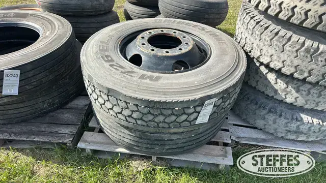 (2) 11R22.5 tires