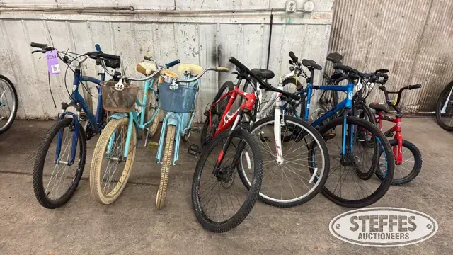 (8) Bikes