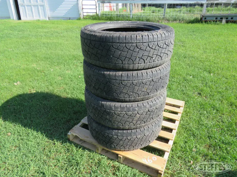 Perrilli Truck Tire