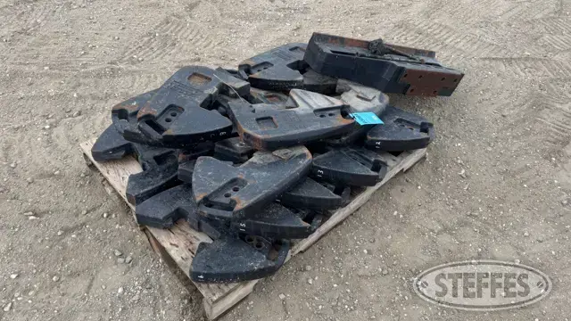 (16) Case IH suitcase weights