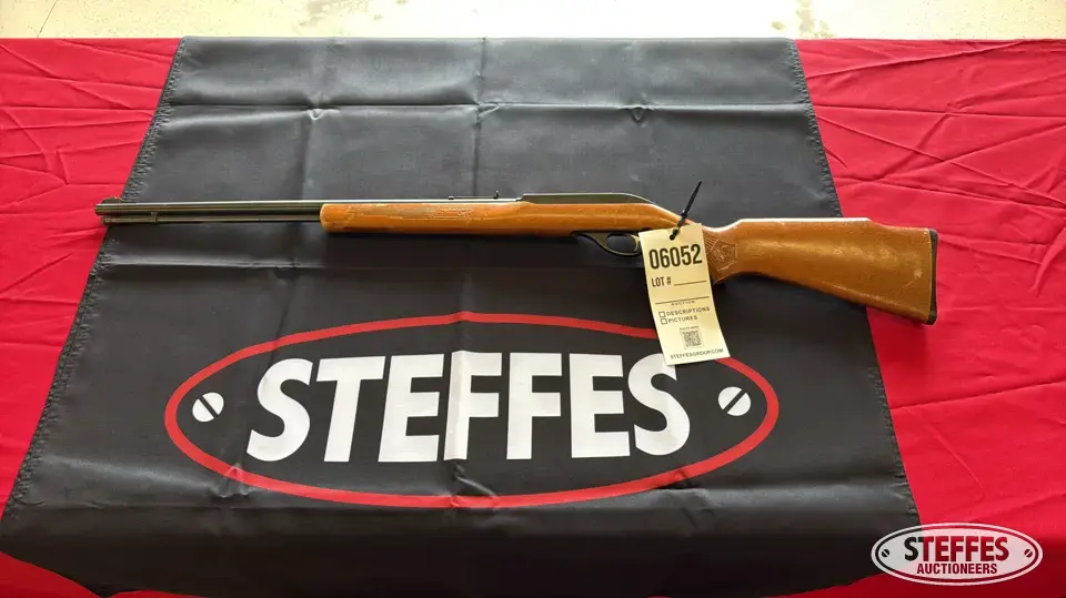 Marlin Glenfield Model 60 Rifle