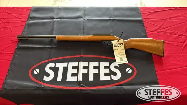 Marlin Glenfield Model 60