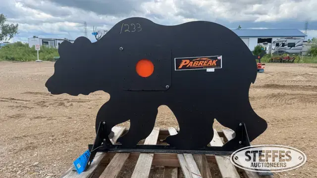 Pabreak shooting target