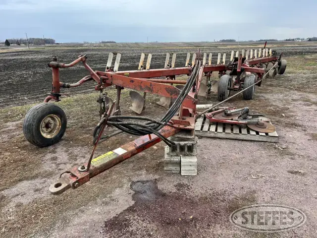 International 800