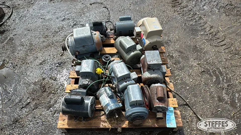 (12) Electric motors Farm Support Item