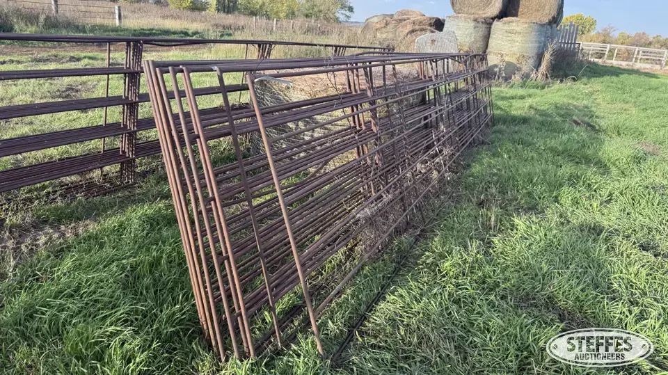 (10) Cattle panels Livestock Handling