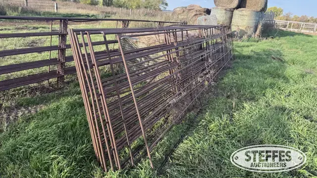 (10) Cattle panels