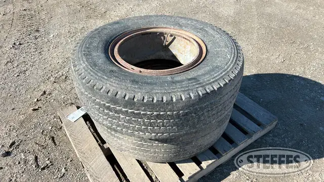 (2) 13/80R20 tires