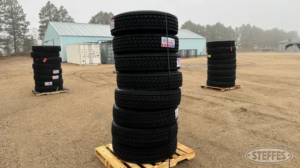 (8) Kapsen HS208 295/75R22.5 tires Truck Tire