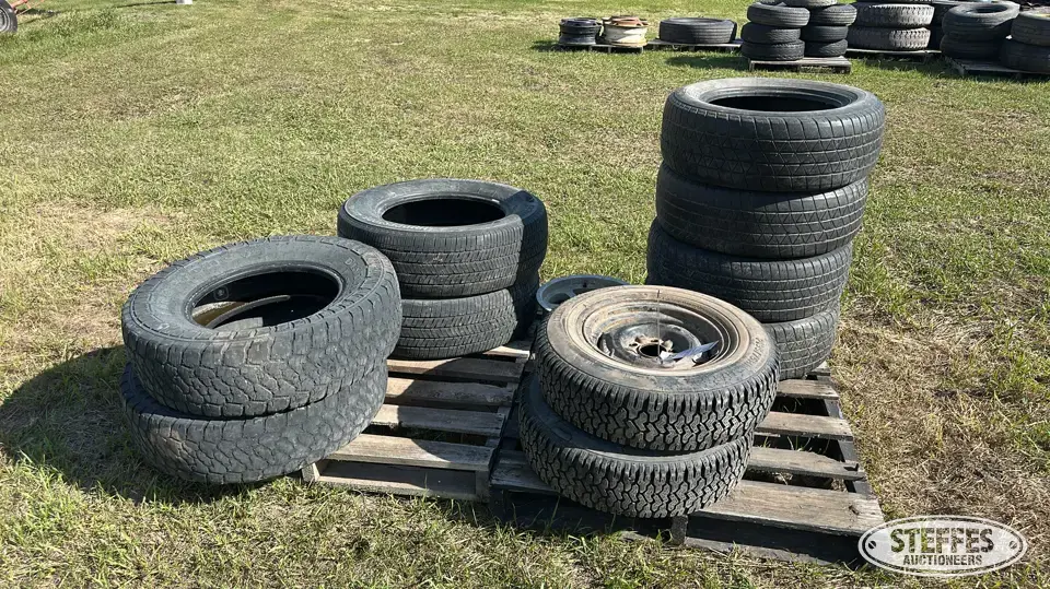 (10) Tires Passenger-Light Truck Tire