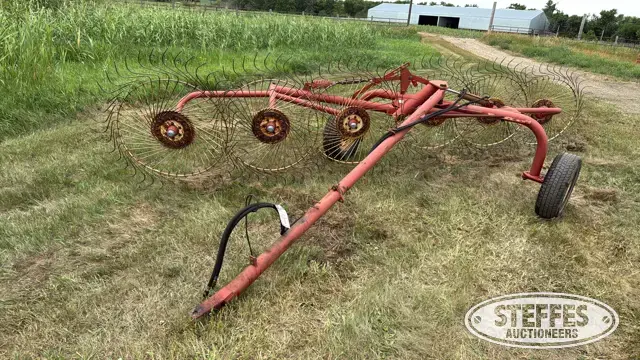 Vicon 6-wheel rake