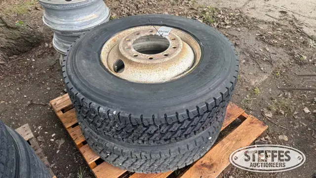 (2) 295/75R22.5 tires