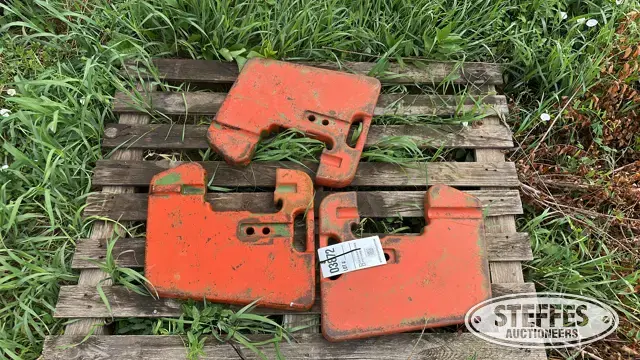 (3) Suitcase weights