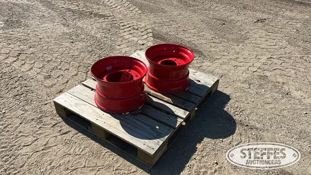 (2) 9.75X16.5 skid seer wheels