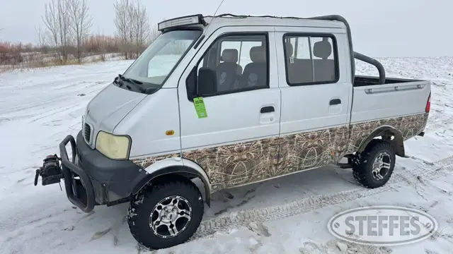 2010 Liangzi LZ970-3