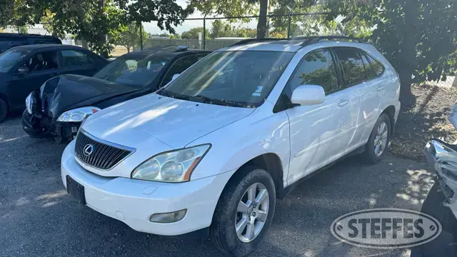 2004 Lexus RX330