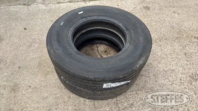 (2) Roadmaster RM185 11R22.5 tires