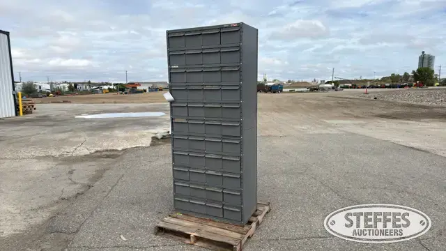 Bin organizer