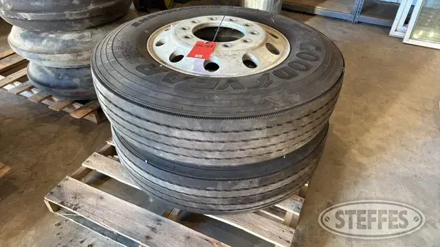 Goodyear Endurance 11R22.5 tires