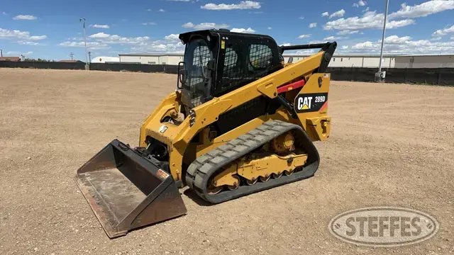2017 CAT 289D