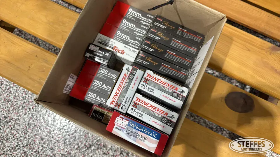 Assorted handgun ammo Recreational-Other