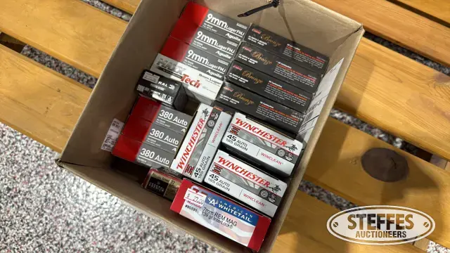 Assorted handgun ammo