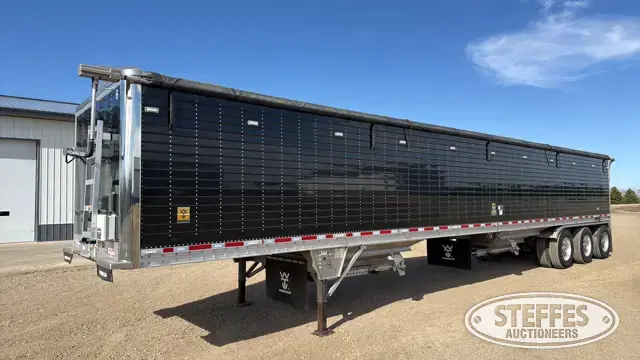 2013 Wilson Pacesetter DWH-551B