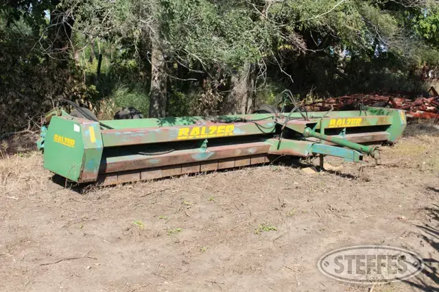Balzer 2000