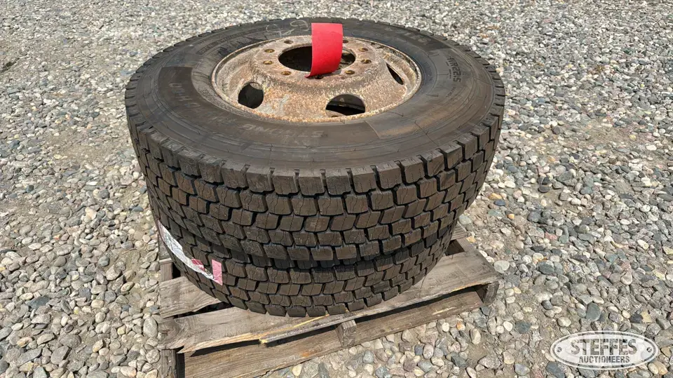 (2) 11R22.5 truck tires