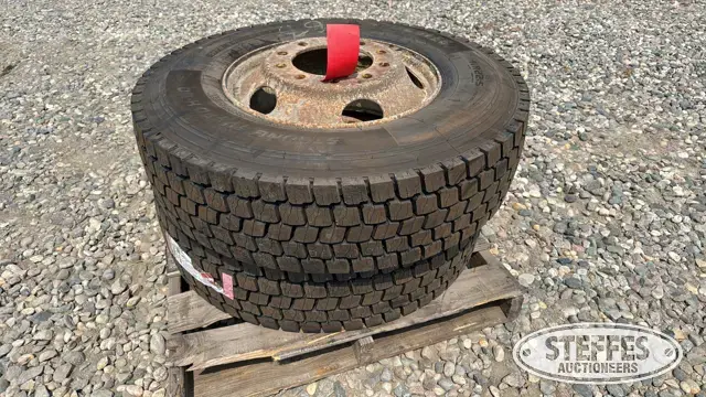 (2) 11R22.5 truck tires