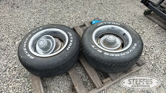 (2) JetZon Revenger G/T 225/70R15 tires