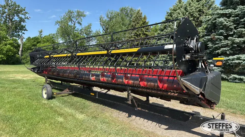 2004 Case IH 1020 Flex Head