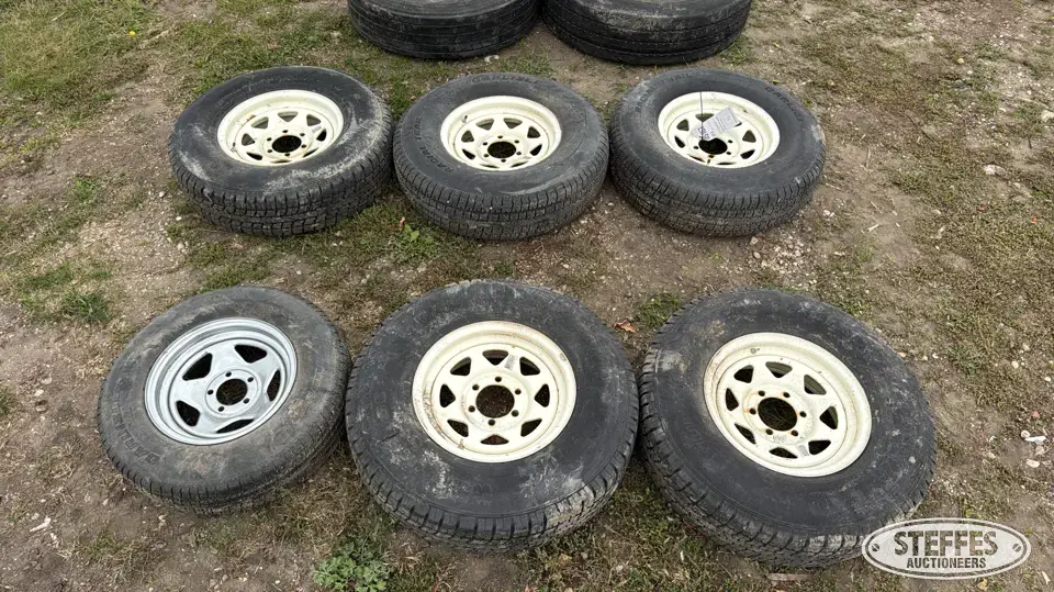 (6) Tires Passenger-Light Truck Tire