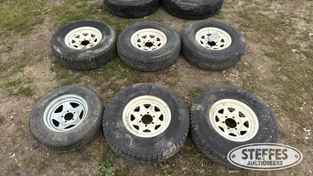 (6) Tires