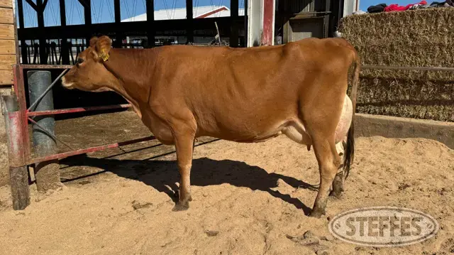 VAN DELL TUCKER 1808