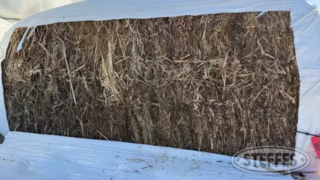 (11 Bales) 1st cutting Alfalfa baleage 3x3x6 sq.