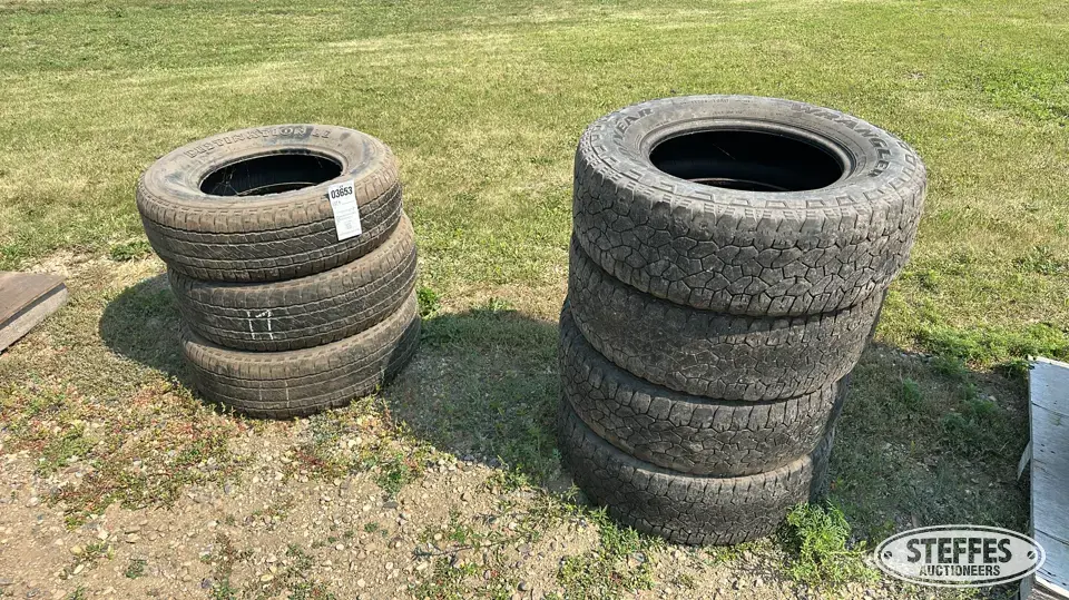 (7) Tires Passenger-Light Truck Tire