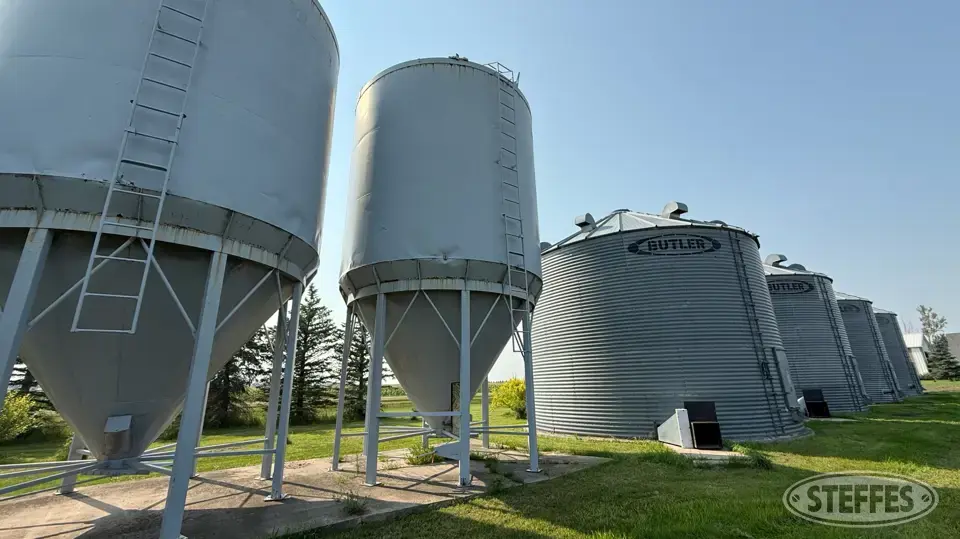 Friesen Hopper Bin