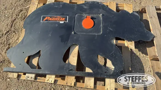 Shooting target