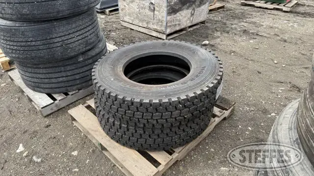(2) Duraturn DD10 11R22.5 tires