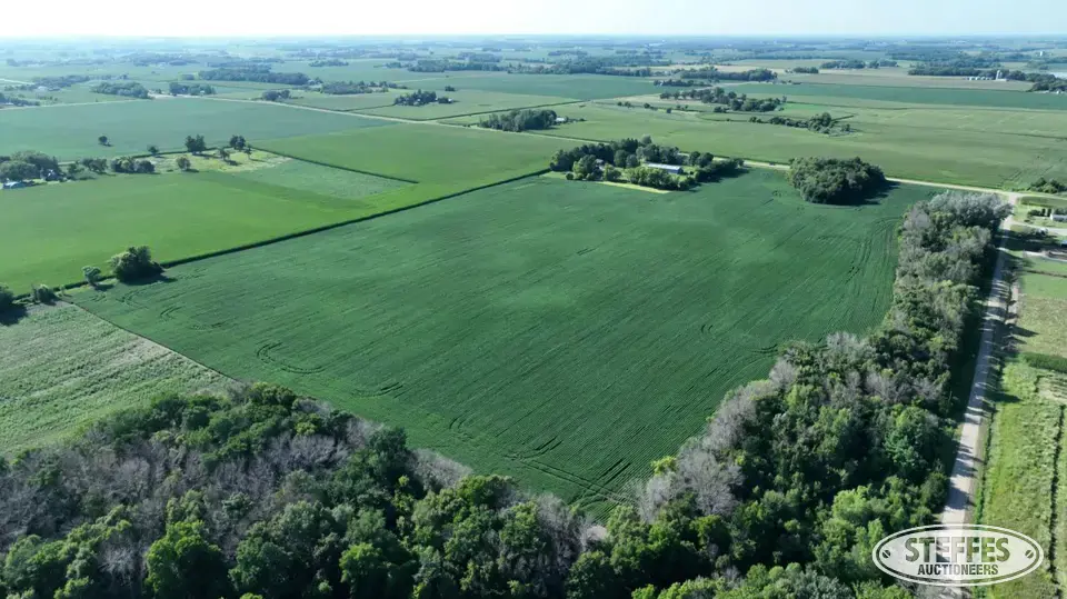 Wright County, MN –  Stockholm Township Farmland
