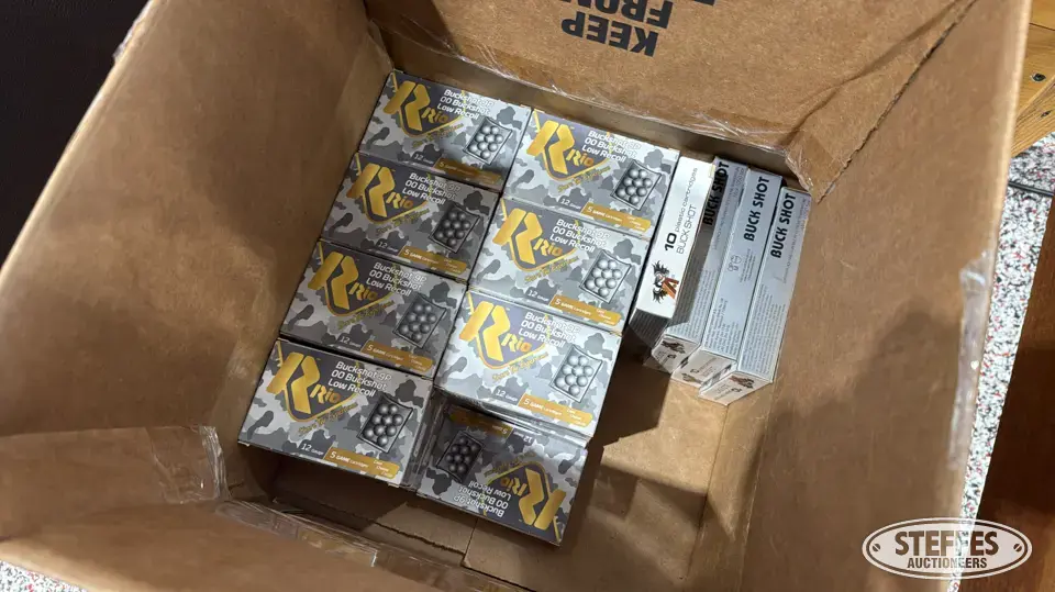 12 Gauge buckshot Recreational-Other